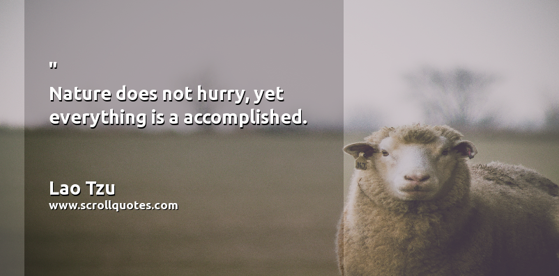 Nature Lao Tzu Nature does not hurry  yet everything is a accomplished.
