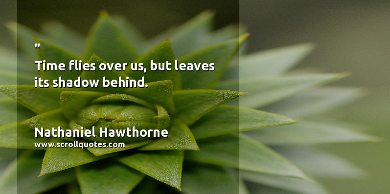 Time Nathaniel Hawthorne Time flies over us  but leaves its shadow behind.
